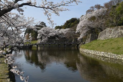 hikone04.jpg