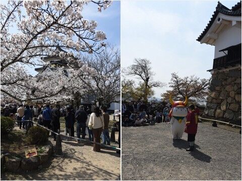 hikone08.jpg