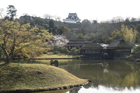 hikone09.jpg