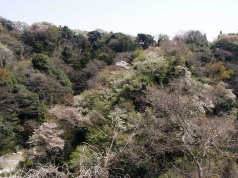 kamaO_1.JPG