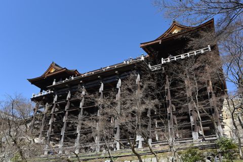 kyoto20ky5.jpg