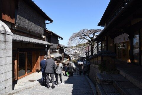 kyoto20san.jpg