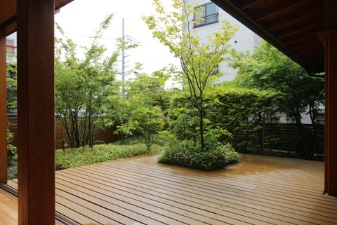 midori1804.jpg