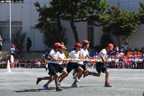 mijiaki1.jpg