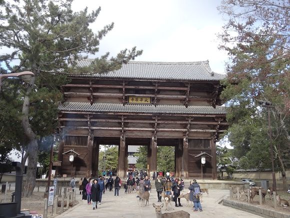 nara03.jpg