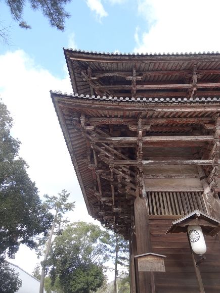 nara04.jpg
