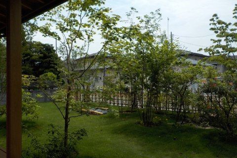 niwa188.jpg