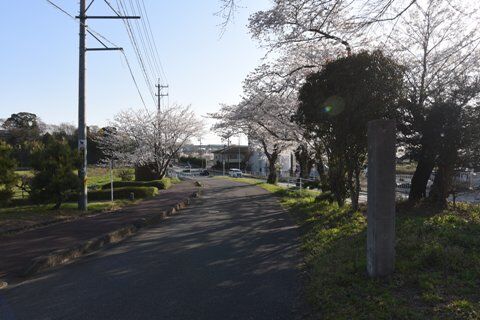 seki03.jpg