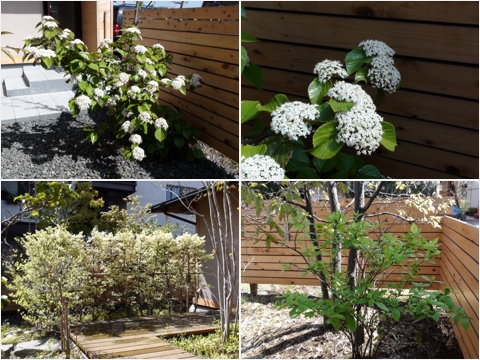 spring2012.jpg