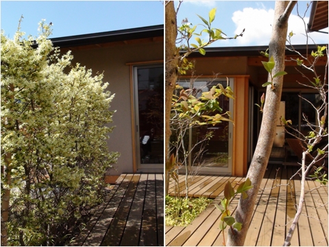 spring2012_6.jpg
