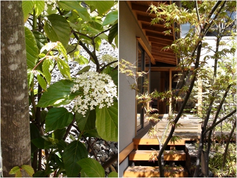 spring2012_9.jpg