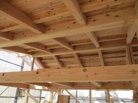 IMG_5871.jpg