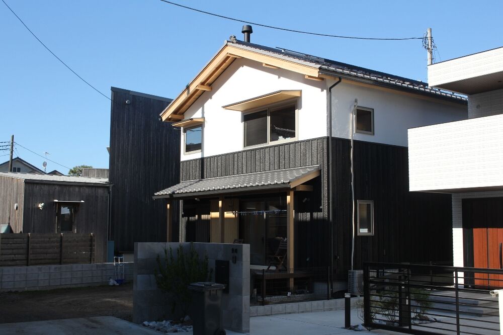 mizya01.jpg