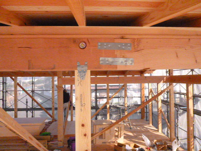 08161034.jpg