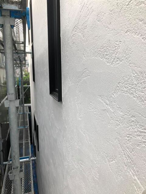 116219174_3010374069088501_1583428331623933558_n.jpg