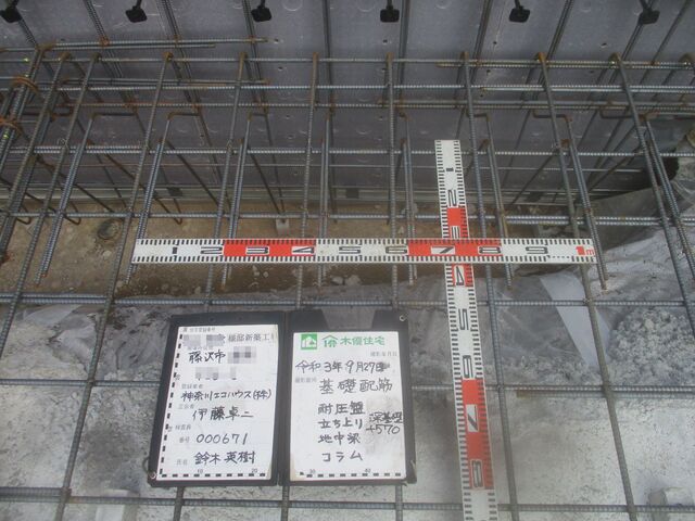 12152422.jpg