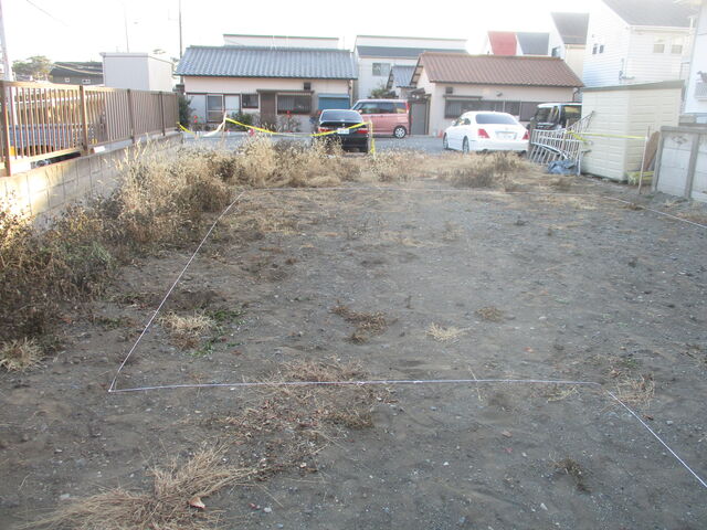 IMG_5987.jpg