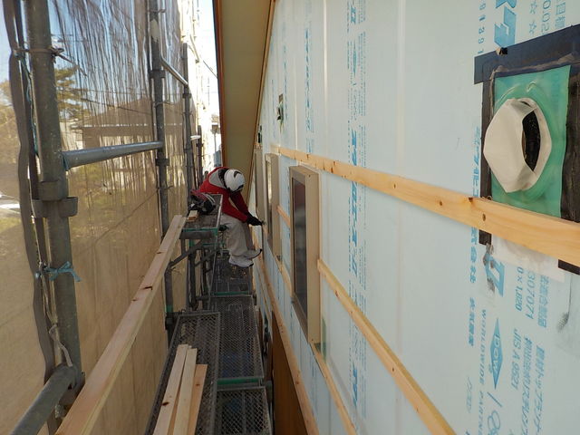 DSCN3296.jpg