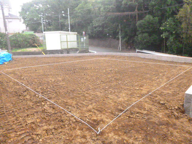 28164744.jpg