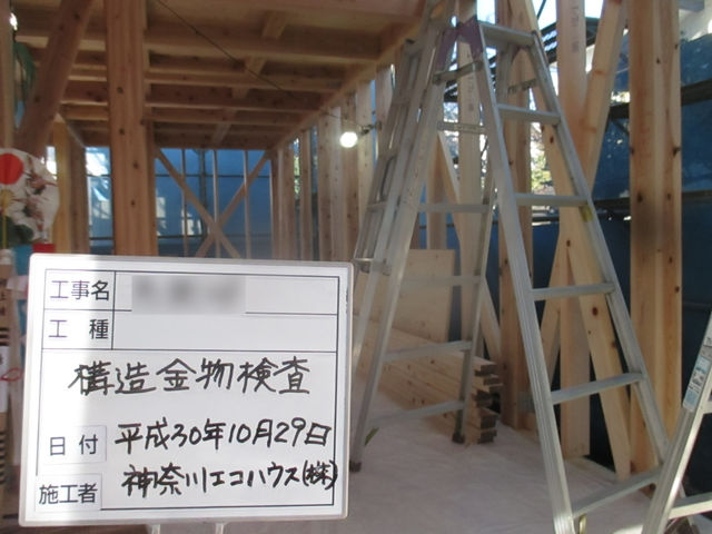 29145727.jpg