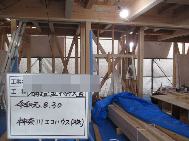 IMG_5434.jpg