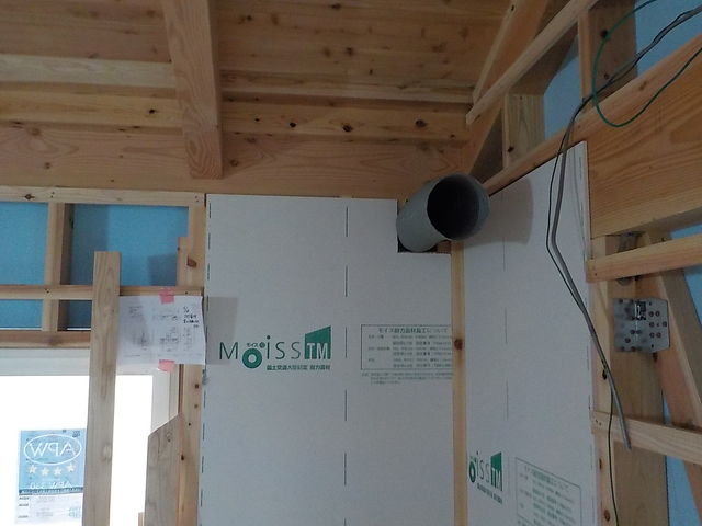 DSCN0487.jpg