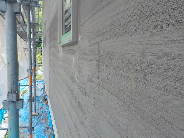 DSCN0893.jpg