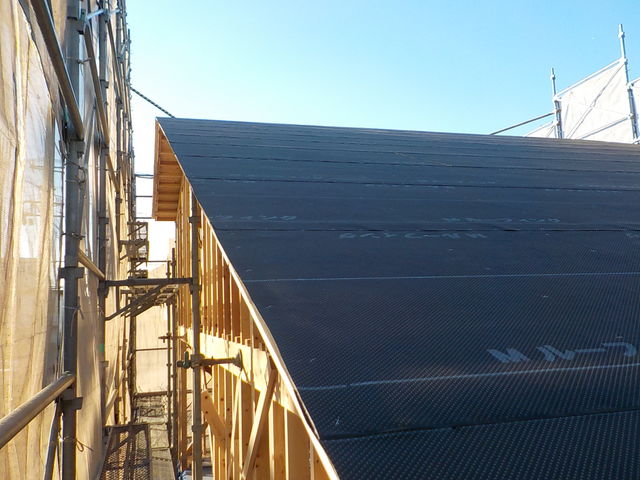 DSCN2428.jpg
