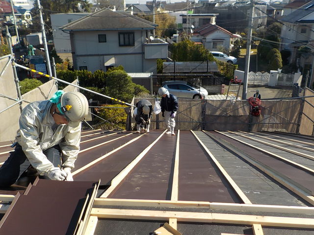 DSCN2772.jpg