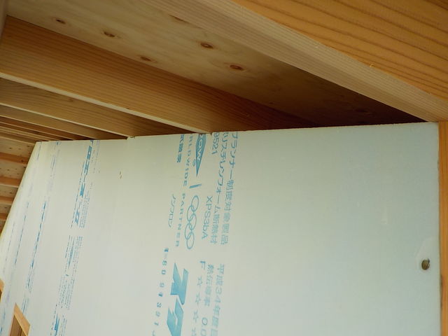 DSCN2895.jpg