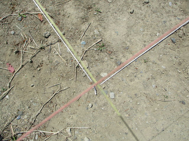 IMG_0177.jpg