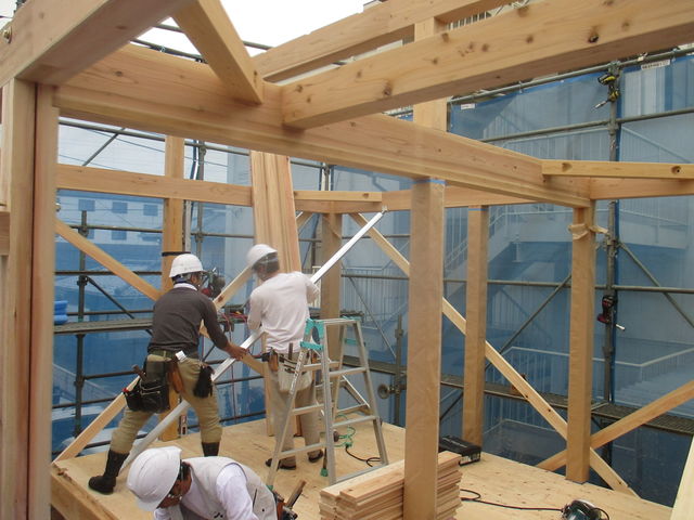 IMG_3768.jpg