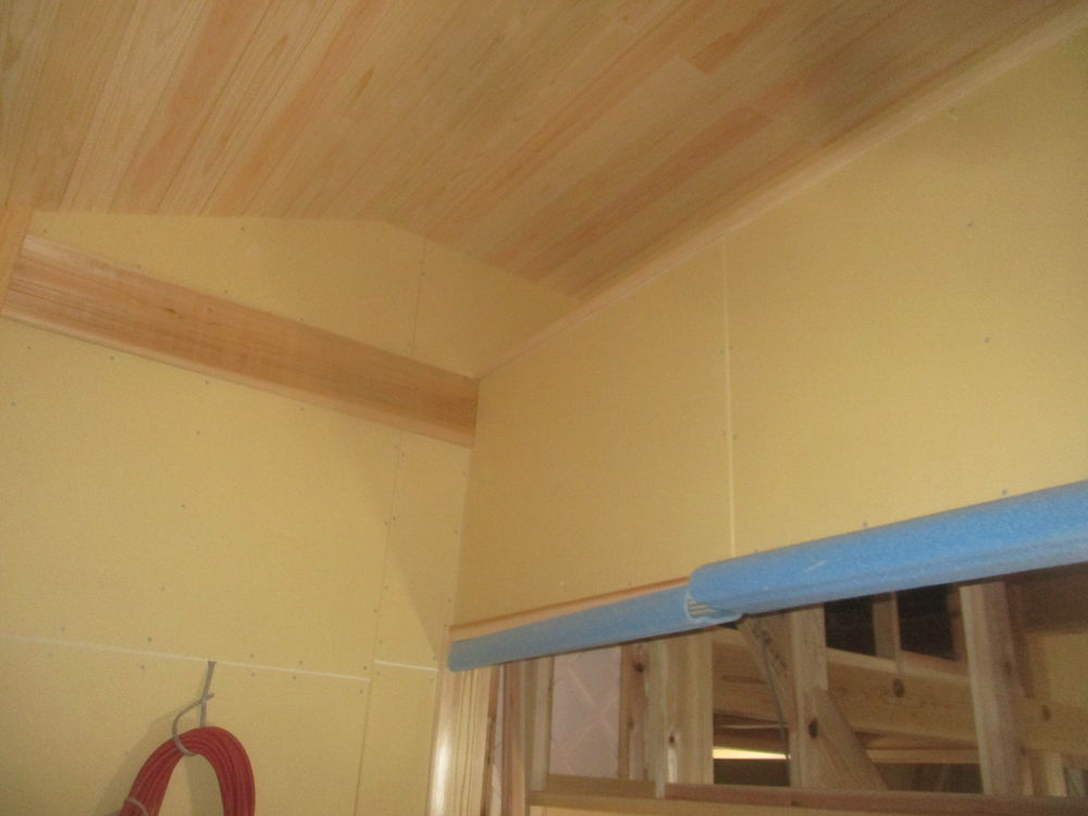 IMG_4732.jpg