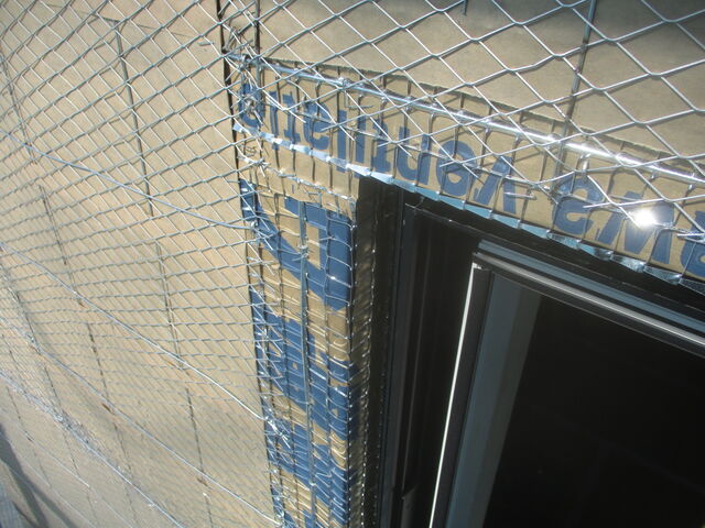 IMG_7555.jpg