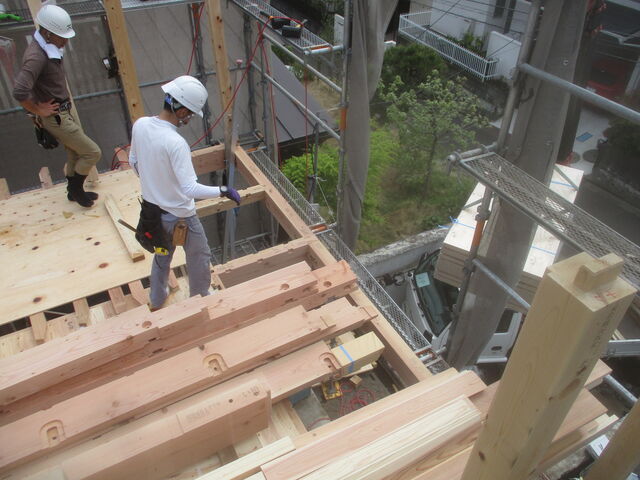 IMG_8176.jpg