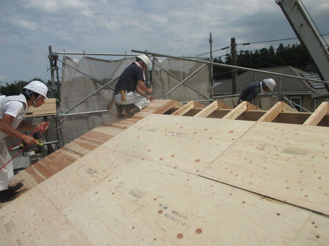 IMG_9791.jpg