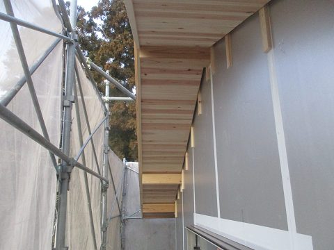 MBY170121-2s.jpg