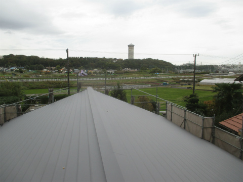 MTS1109.jpg