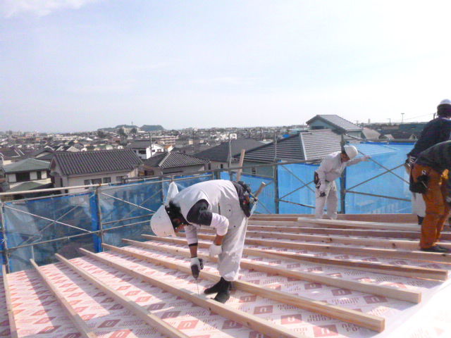 P1220113.jpg