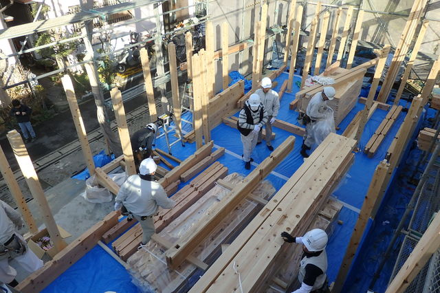 P2010004.jpg