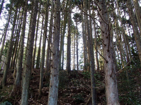 PC250038.jpg