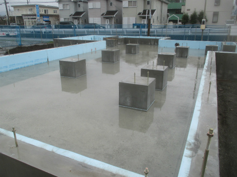 SRS0311.jpg