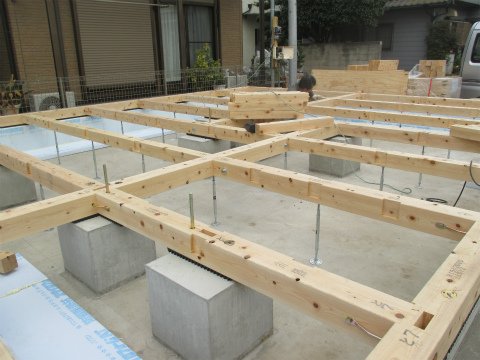 TGO0303.jpg