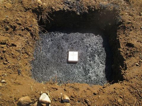 TIS-0327.jpg