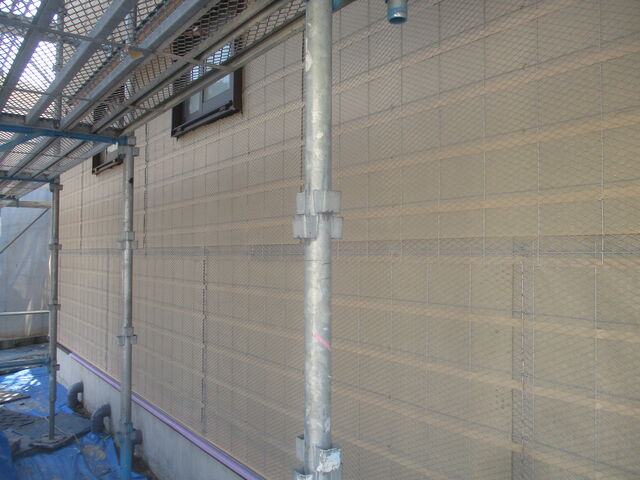 IMG_9821.jpg