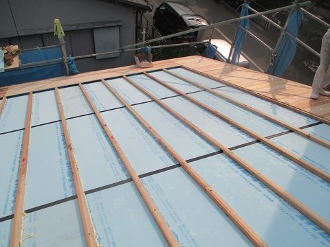 hrf-0725-60003.jpg
